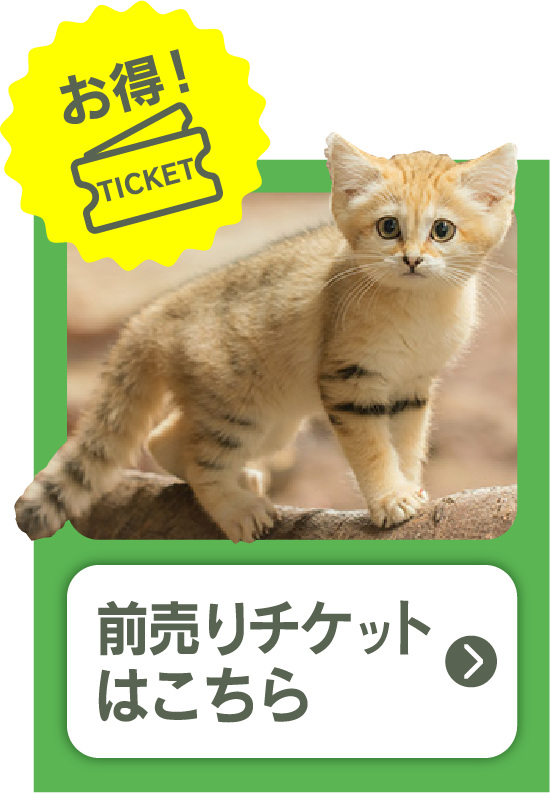 お得！前売りチケットはこちら