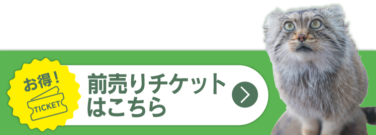 お得！前売りチケットはこちら